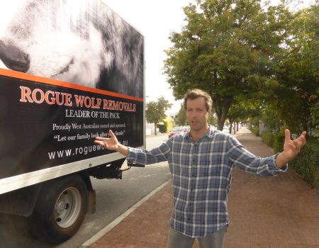 Rogue Wolf Removals