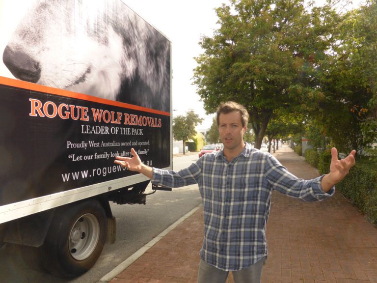 Rogue Wolf Removals