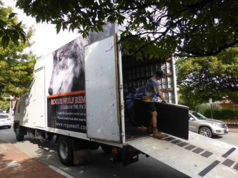 P1050815 Archival image from Rogue Wolf Removals