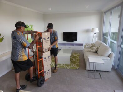 P1050827 Archival image from Rogue Wolf Removals