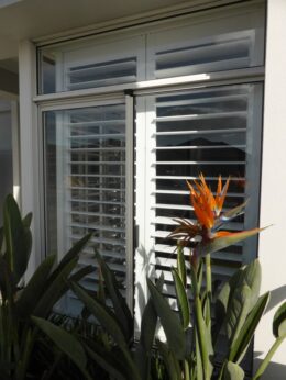 P1060029 Archival image from Aveling Homes – Skinnies