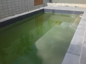 image (5)