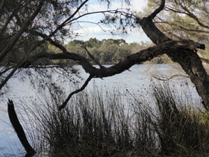 image (6)