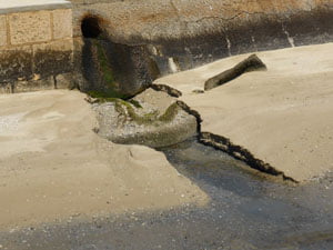 image (8)