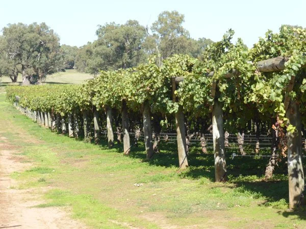 Balwyn Private Estate