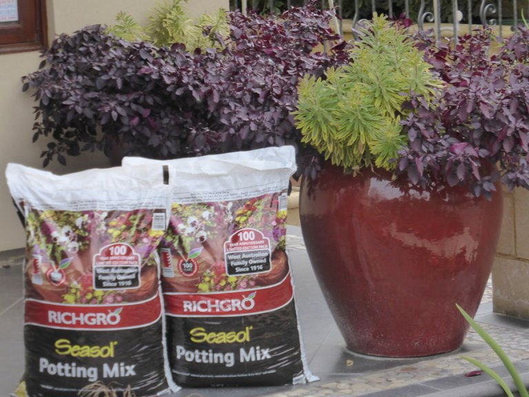 Richgro – Seasol Potting Mix