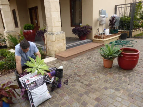 p1060775 Archival image from Richgro – Seasol Potting Mix