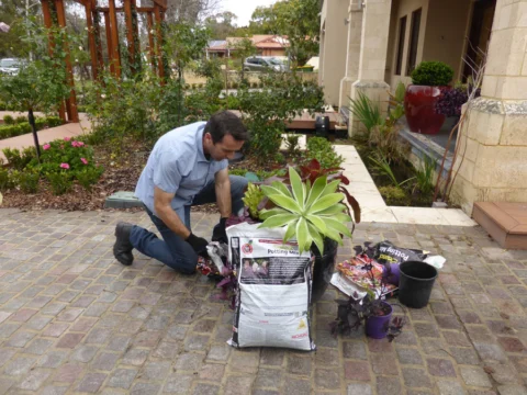 p1060776 Archival image from Richgro – Seasol Potting Mix