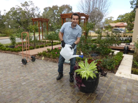 p1060779 Archival image from Richgro – Seasol Potting Mix
