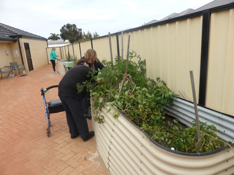 P1060903 Archival image from Bethanie Group – Geraldton