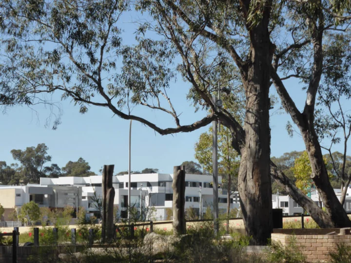P1070134 Archival image from Empire – Perry Lakes