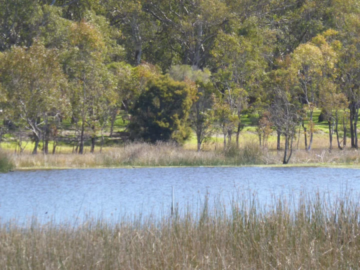 P1070135 Archival image from Empire – Perry Lakes