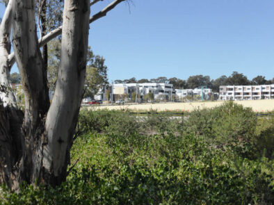 P1070136 Archival image from Empire – Perry Lakes