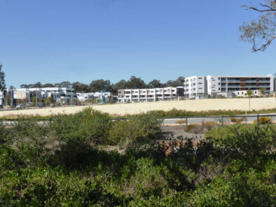 P1070137 Archival image from Empire – Perry Lakes