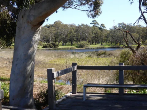P1070139 Archival image from Empire – Perry Lakes