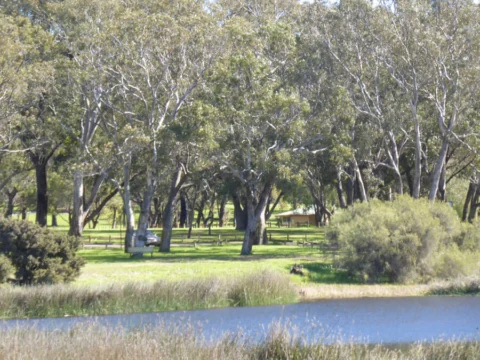 P1070141 Archival image from Empire – Perry Lakes