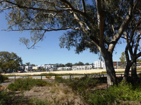 P1070143 Archival image from Empire – Perry Lakes