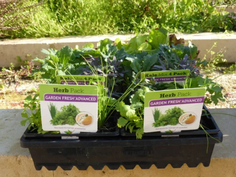 p1070319 Archival image from Scotts Australia – Pure Organic Compost & Soil Improver