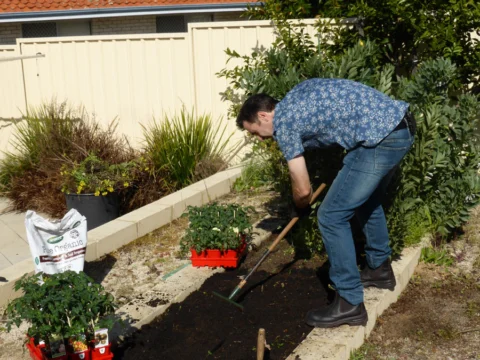 p1070337 Archival image from Scotts Australia – Pure Organic Compost & Soil Improver