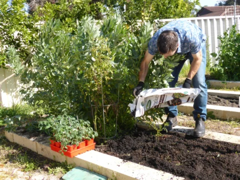 p1070338 Archival image from Scotts Australia – Pure Organic Compost & Soil Improver