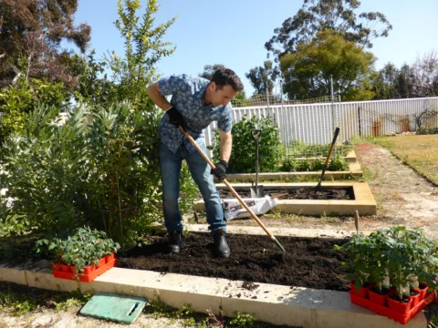 p1070339 Archival image from Scotts Australia – Pure Organic Compost & Soil Improver