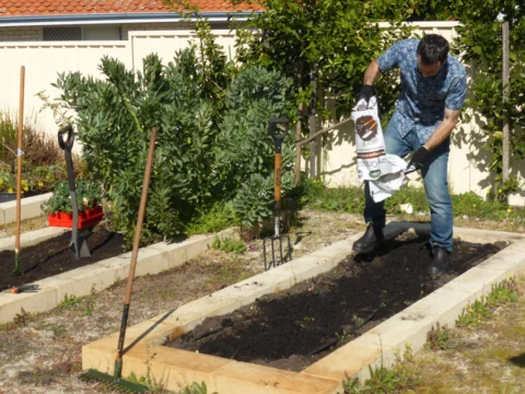 p1070340 Archival image from Scotts Australia – Pure Organic Compost & Soil Improver