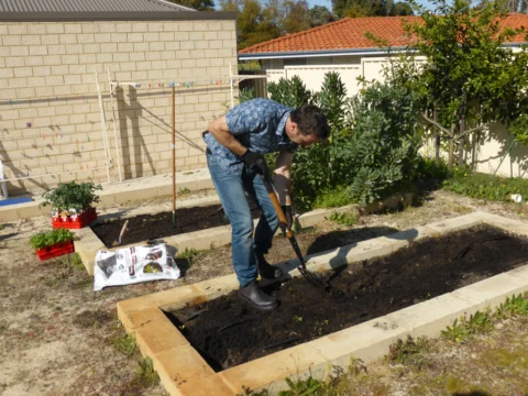 p1070341 Archival image from Scotts Australia – Pure Organic Compost & Soil Improver