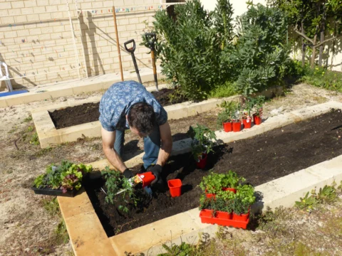 p1070348 Archival image from Scotts Australia – Pure Organic Compost & Soil Improver