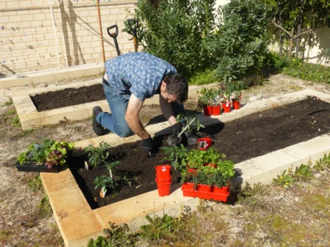 p1070349 Archival image from Scotts Australia – Pure Organic Compost & Soil Improver