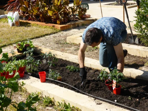p1070350 Archival image from Scotts Australia – Pure Organic Compost & Soil Improver
