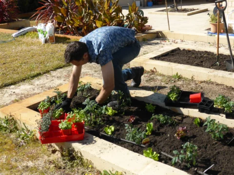 p1070351 Archival image from Scotts Australia – Pure Organic Compost & Soil Improver