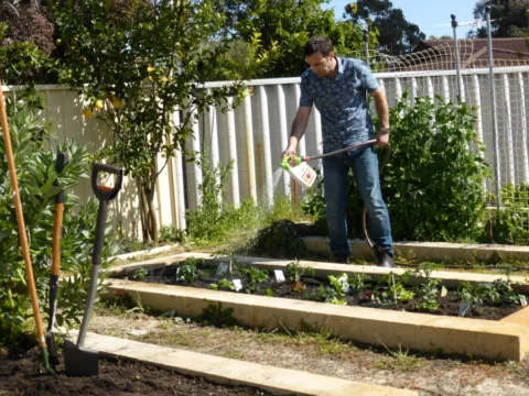 p1070352 Archival image from Scotts Australia – Pure Organic Compost & Soil Improver