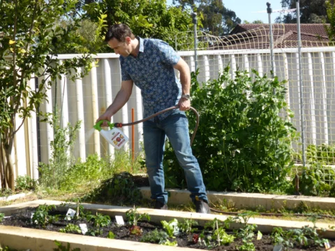 p1070353 Archival image from Scotts Australia – Pure Organic Compost & Soil Improver
