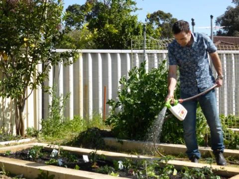 p1070354 Archival image from Scotts Australia – Pure Organic Compost & Soil Improver