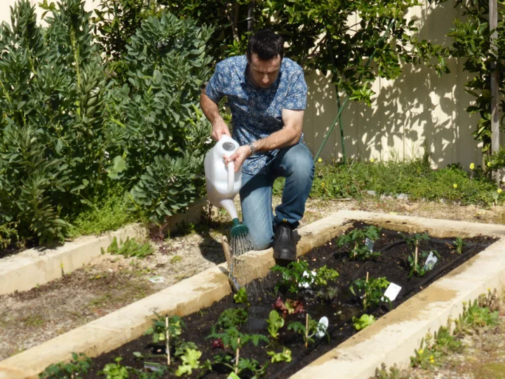 p1070355 Archival image from Scotts Australia – Pure Organic Compost & Soil Improver