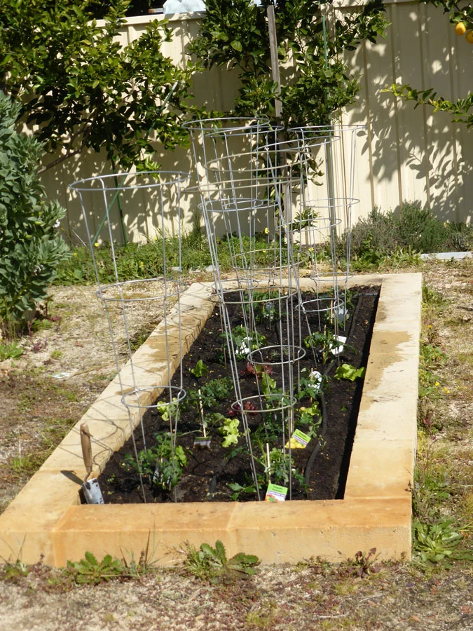 p1070356 Archival image from Scotts Australia – Pure Organic Compost & Soil Improver
