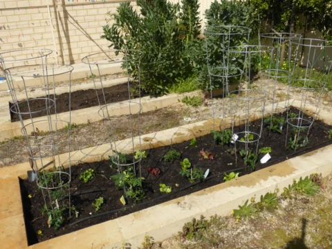 p1070358 Archival image from Scotts Australia – Pure Organic Compost & Soil Improver