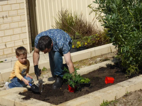 p1070359 Archival image from Scotts Australia – Pure Organic Compost & Soil Improver