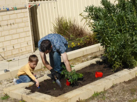 p1070360 Archival image from Scotts Australia – Pure Organic Compost & Soil Improver