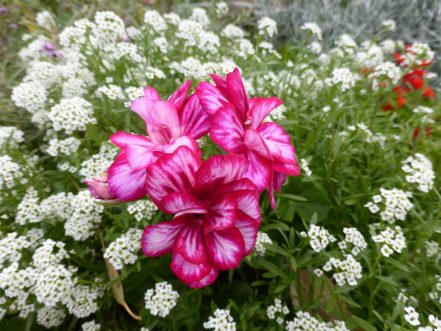 p1070543