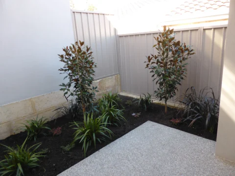 p1070219 Archival image from Landscaping by Tony Horton