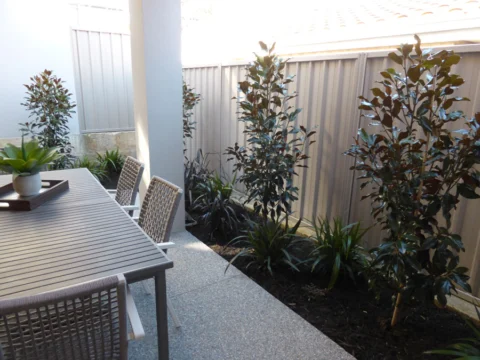p1070221 Archival image from Landscaping by Tony Horton