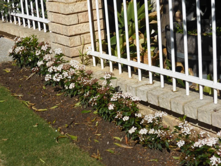 p1070229 Archival image from Landscaping by Tony Horton