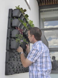 Archival image from Holman Industries – GreenWall