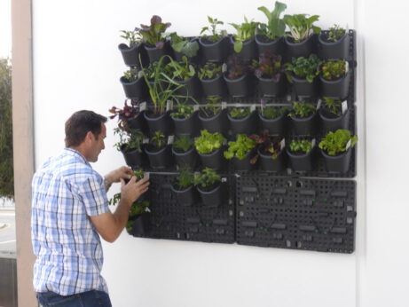Archival image from Holman Industries – GreenWall