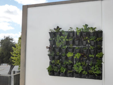 Archival image from Holman Industries – GreenWall