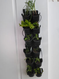 Archival image from Holman Industries – GreenWall