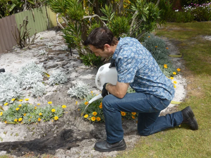 p1070898 Archival image from Seasol – Super Soil Wetter & Conditioner