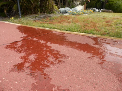 p1070903 Archival image from Seasol – Super Soil Wetter & Conditioner