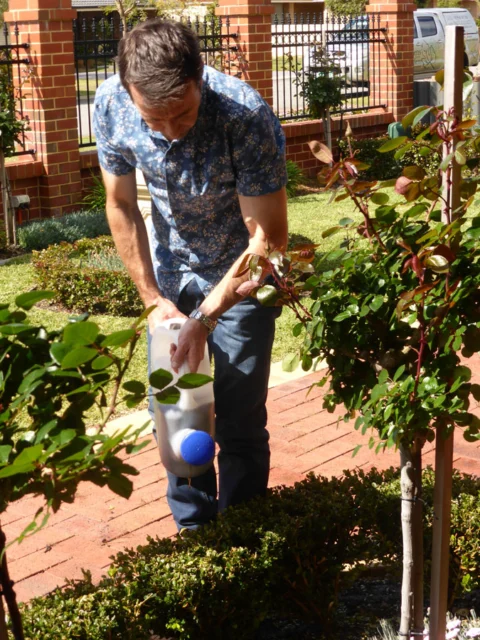 p1070921 Archival image from Seasol – Super Soil Wetter & Conditioner
